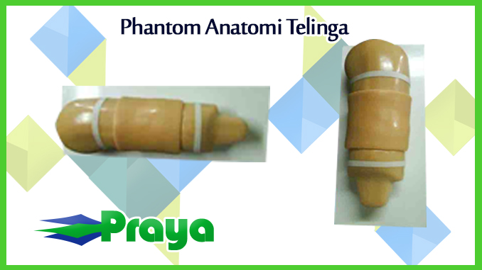 Phantom Lengan Implan