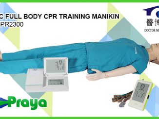 BASIC FULL BODY CPR TRAINING MANIKIN DM CPR2300